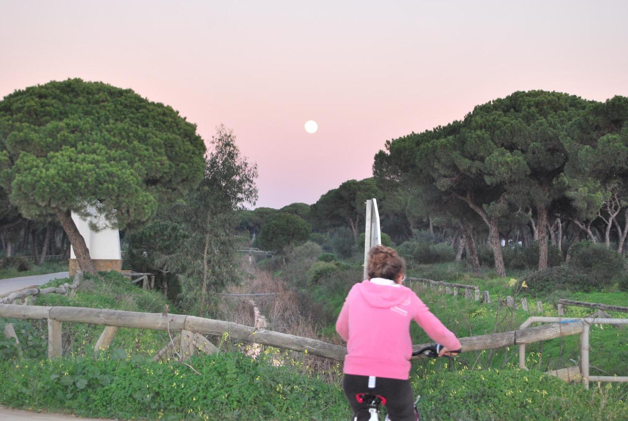 Tranvia Beach House Chipiona Kültér fotó
